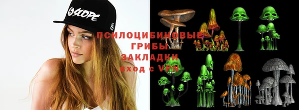прущие крисы Белоозёрский