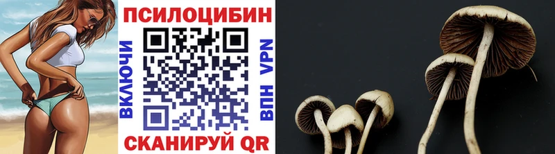 Галлюциногенные грибы Cubensis  Будённовск 