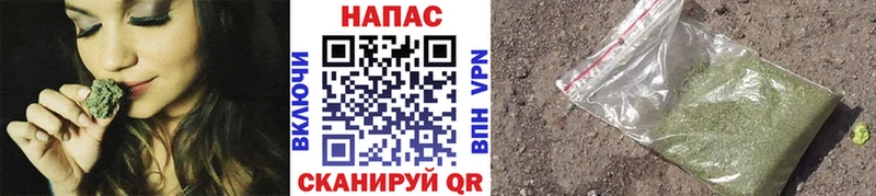 МЕГА маркетплейс  Будённовск  МАРИХУАНА ГИДРОПОН 